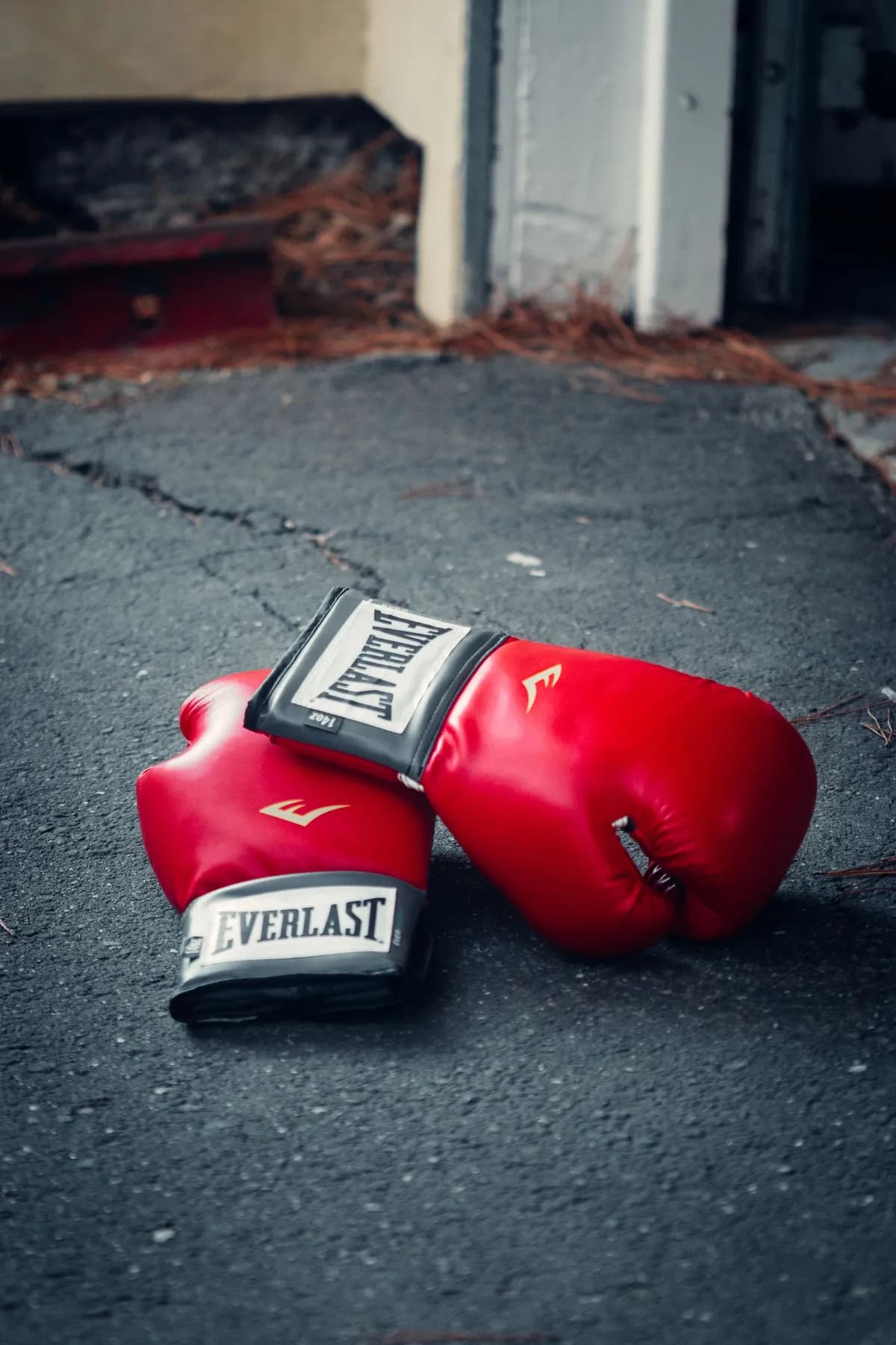 Kalash Boxing Gloves