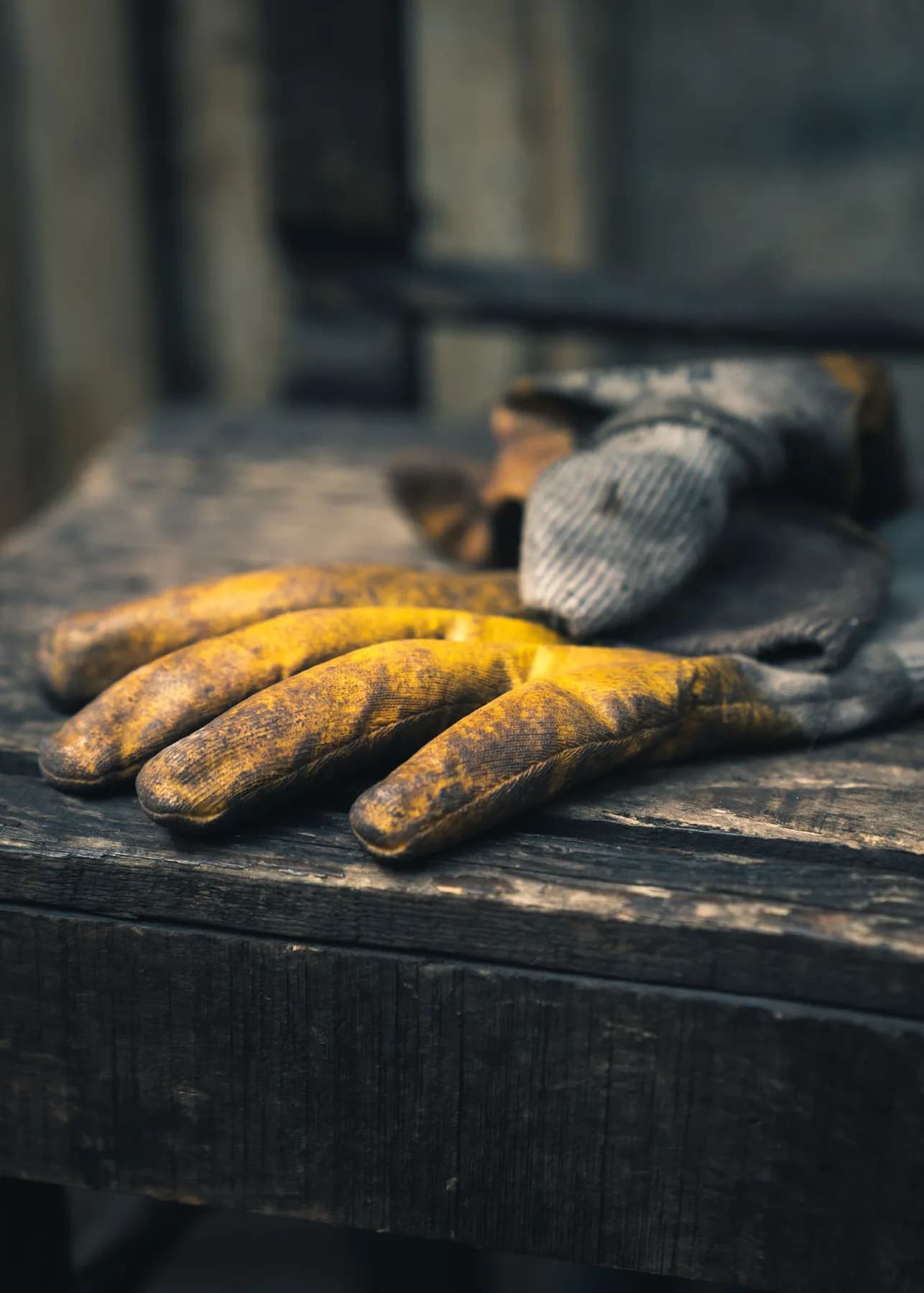 Ravi Work Gloves