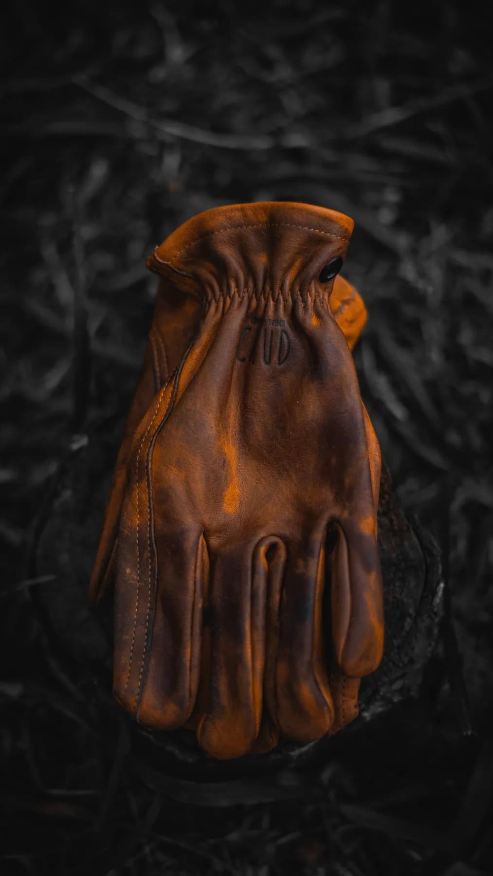 Thar Protective Gloves
